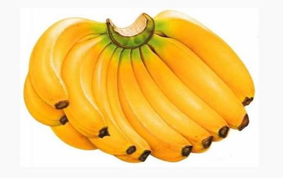 香芽蕉(cavendish,又称华蕉)