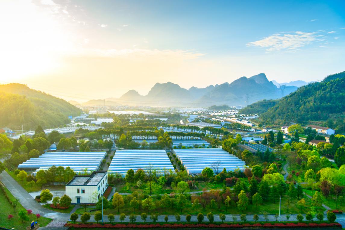 寿仙谷药业灵芝培育基地